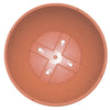 10" Color Bowl (Case of 50)