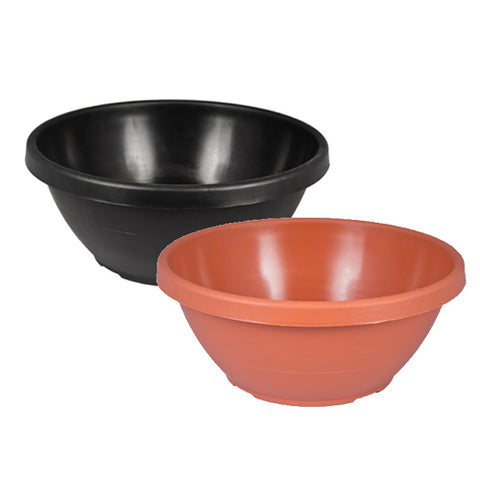 10" Color Bowl (Case of 100)