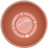 12" Color Bowl (Case of 50)