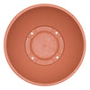 14" Color Bowl (Case of 50)
