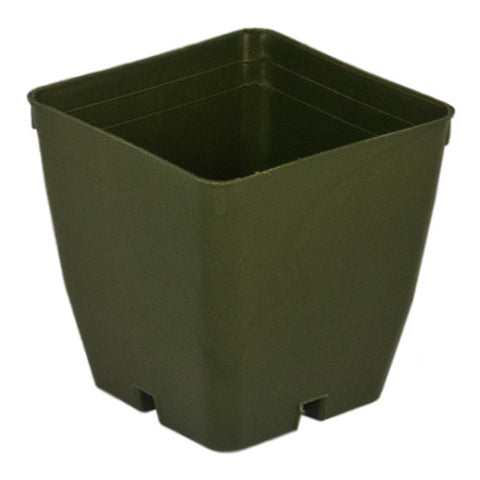 2.75" Square Pot (Case of 1,680)