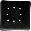 5.5" Square One (Case of 264)