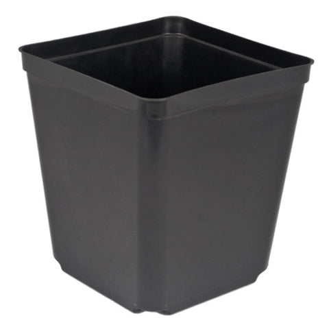 5.5" Square One (Case of 264)