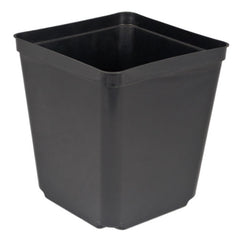5.5" Square One (Case of 264)