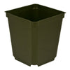 3.5" Square Perennial Pot SR350-1 (Case of 500)