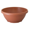 10" Color Bowl (Case of 50)