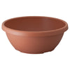 12" Color Bowl (Case of 50)