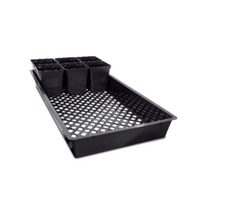 1020 Propagation Flat (Case of 50)