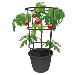 12" Vista Tomato Planter w/ Trellis (Case of 12)