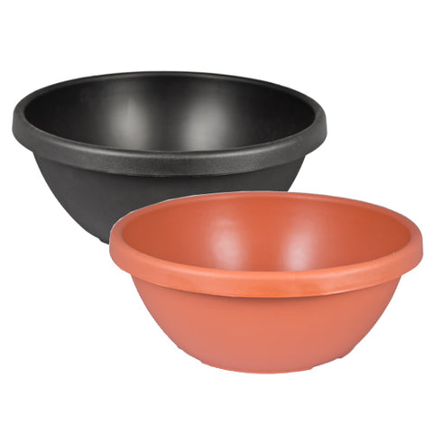 12" Color Bowl (Case of 50)