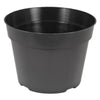 6" Thin Wall Azalea Pot (Case of 450)
