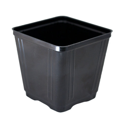 rEarth 3.5" Tech Square Pot-JMCTS35P (Case of 1375)